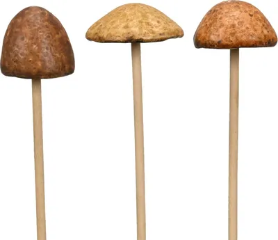 Produktbild von Pilz Steinzeug Garten Stecker 3sort. Wald natur/braun