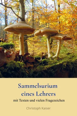 Produktbild von Sammelsurium eines Lehrers