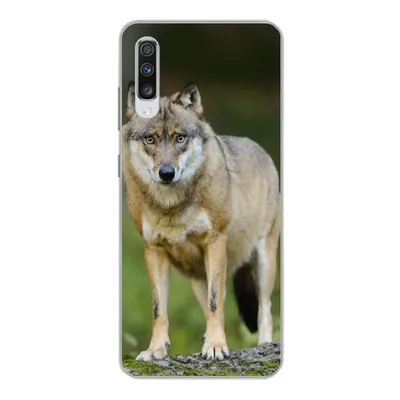 Produktbild von MuchoWow® Handyhülle Schutzhülle Hülle für Samsung Galaxy A70 Wolf - Asien - Pflanzen Silikon Softcase Handy Hülle - Schutzhaube