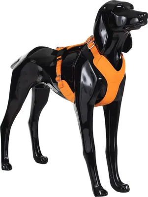 Produktbild von PAIKKA Hundegeschirr reflektierend "Visibility Harness" orange, Größe: L