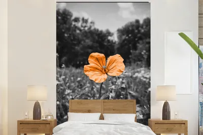 Produktbild von MuchoWow® Fototapete für Wohnzimmer oder Schlafzimmer Wandtapete Vinyl Motivtapete Blumen - Schwarz - Weiß - Orange - 225x350 cm - Schlafzimmer tapete