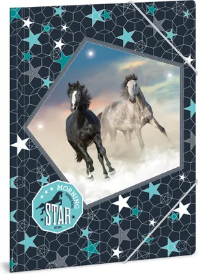 Image de Ars Una Chemise de notes Morning Star chevaux A4