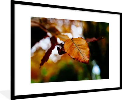 Produktbild von MuchoWow® Gerahmtes Poster Buche - Herbst - Laub 90x60 cm - Poster mit Schwarzem Bilderrahmen Wandposter Rahmen Foto Bilder - Wanddekoration - Fotos