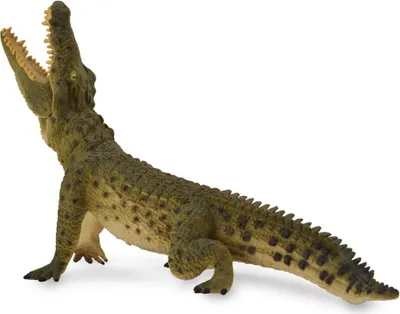 Produktbild von COLLECTA Nilkrokodil - (XL)
