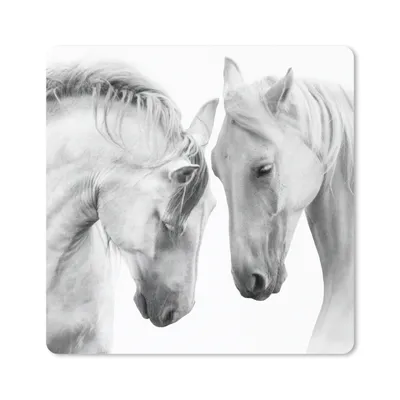 Produktbild von MuchoWow® Mauspad Mousepad Pferd - Tiere - Porträt - Weiß 20x20 cm - Mousepads - Maus Mat - Pad - Mausunterlage - Desk Mat - Bureauartikeln