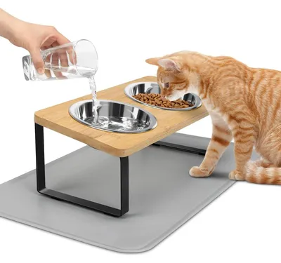 Produktbild von Erhöhte Katzennäpfe mit Futtermatte 15° geneigt 2 Edelstahlschüsseln Napfständer Katze Futter Wasser