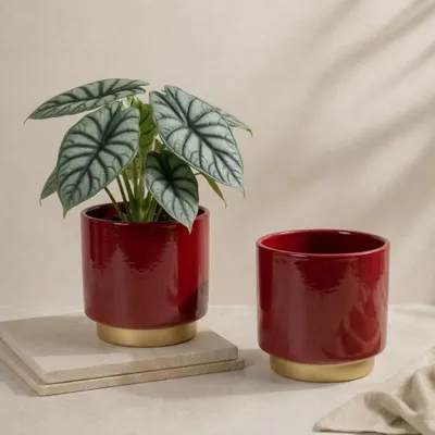Produktbild von Übertöpfe in Ø 10,5 cm, Dunkelrote Blumentöpfe im 2er Set