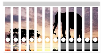 Produktbild von Wallario Ordnerrücken Sticker, selbstklebend für schmale Ordner, 12 Stück, Motiv Elefant vor Abendhimmel