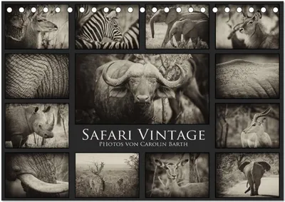 Produktbild von Safari Vintage (Tischkalender 2025 DIN A5 quer), CALVENDO Monatskalender