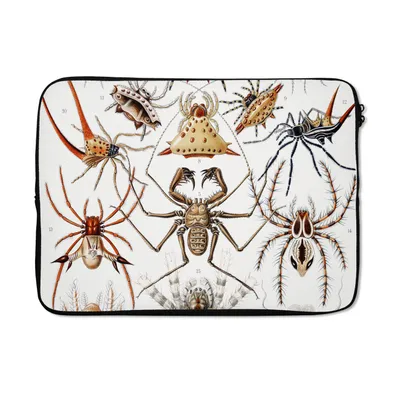 Produktbild von MuchoWow® Laptop Hülle 14 ZollRetro - Spinne - Ernst Haeckel - Spinnen Laptoptasche - Laptoptasche - Stoßsicher - Schutzhaube