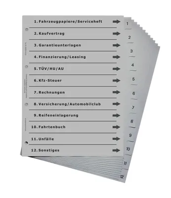 Produktbild von europrotokoll Ordnerregister für Kfz, durchdachtes Register für DIN A4 Ordner, Auto-Ordner für Pkw, Motorrad und Lkw, lichtgrau
