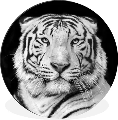 Produktbild von MuchoWow® Aluminium Wandkreis Tiger - Schwarz - Weiß - Porträt - Tiere Ø 90 cm Wanddeko Modern Wohnzimmer - Mauerkreis - Wandbilder - Runde Bild - Bild aus Aluminium - Schlafzimmer - Wohnzimmerdekoration - Wand Dekoration