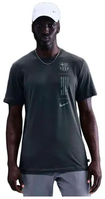 Produktbild von T-Shirt Nike IB3891-060 für Herren