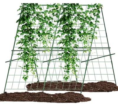 Productafbeelding van Tuinspalier voor tomaten en komkommers, 120x120 cm