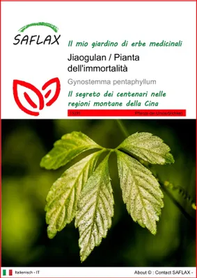 Immagine prodotto di SAFLAX  - Jiaogulan / Pianta dell'immortalità - 30 semi - Gynostemma