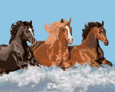 Image de Zuty - Peinture par numéros - TROIS CHEVAUX DANS L'EAU, 40 x 50 cm, sans cadre et sans toile tendue