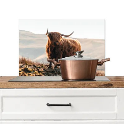 Obrázek produktu pro KitchenYeah® Splashback kitchen - Kuchyňský splashback - Ochrana stěny sporáku a dřezu - Skotský náhorní skot - Zvířata - Venkov - Krajina - Kráva - Příroda 60x40 - Alu-Dibond (alternativa ke splashbacku)