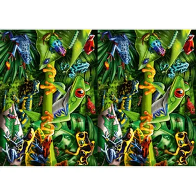 Obrázek produktu pro RAVENSBURGER Puzzle Amazing Amphibians 35 dílků
