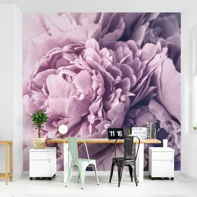 Produktbild von Fototapete Blumen - Vliestapete - Bildtapete UV-beständig Rose violett Landhaus Wandtapete geruchsfrei