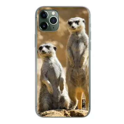 Produktbild von MuchoWow® Handyhülle Schutzhülle Hülle für iPhone 11 Pro Max Felsen - Erdmännchen - Tiere Silikon Softcase Handy Hülle - Schutz