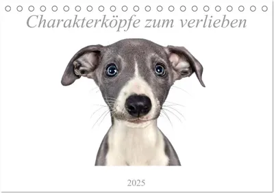 Produktbild von Charakterköpfe zum verlieben (Tischkalender 2025 DIN A5 quer), CALVENDO Monatskalender