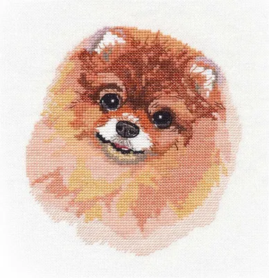 Obrázek produktu pro Souprava pro vyšívání křížkem "Spitz", 14x16 cm, počítaný vzor