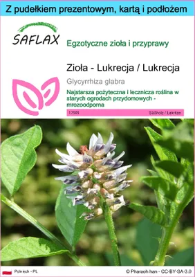 Zdjęcie produktu dla SAFLAX - Zestaw prezentowy - Zioła - Lukrecja / Lukrecja - 30 Nasiona - Z pudełkiem upominkowym, etykietą wysyłkową, kartą podarunkową i podłożem uprawowym - Glycyrrhiza glabra