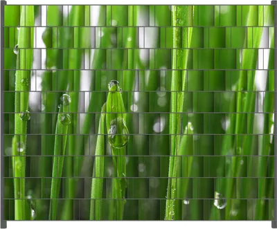 Produktbild von Wallario Zaunsichtschutz mit Motiv Wassertropfen an Grashalmen für Ein- und Doppelstabmatten Zäune in der Größe 250 x 200 cm