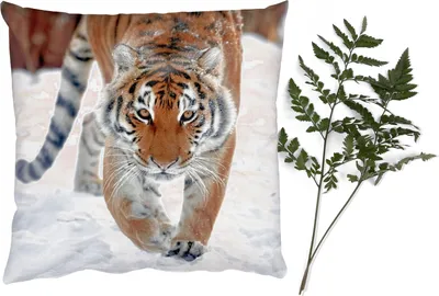 Produktbild von MuchoWow® Zierkissen Sofakissen Wohnzimmer Dekokissen 50x50 cm Tiger - Schnee - Tiere - Komfort - Sofakissen