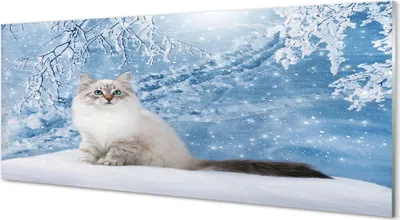 Produktbild von Glasbilder 125x50 Wandkunst Katze Winter