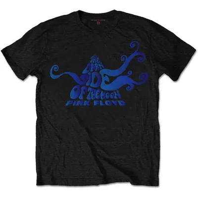 Obrázek produktu pro Pink Floyd Dark Side of the Moon Swirl Black M Tričko