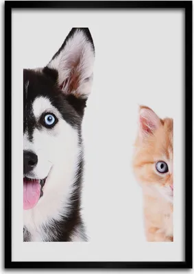Produktbild von Bild - Bilderrahmen - 50 cm x 70 cm - MDF - Rahmen - Wandkunst Hund und Katze