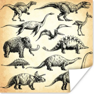 Produktbild von MuchoWow® Poster Dinosaurier - Vintage - Zeichnung - Kinder - Kinder - Kind 100x100 cm - Babyzimmer