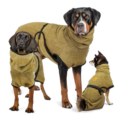 Three dogs of different sizes wearing green dog coats against a white background.