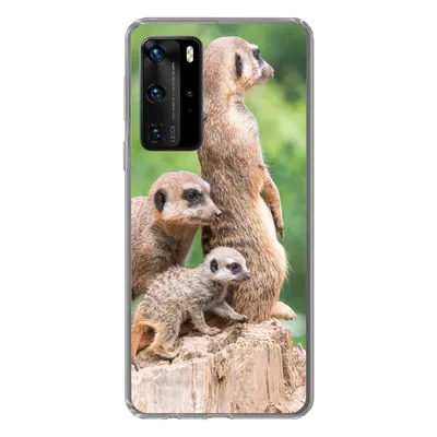 Produktbild von MuchoWow® Handyhülle Schutzhülle Hülle für Huawei P40 Pro Erdmännchen - Baumstumpf - Jungtier Silikon Softcase Handy Hülle - Schutz