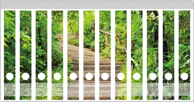 Produktbild von Wallario Ordnerrücken Sticker, selbstklebend für schmale Ordner, 12 Stück, Motiv Steintreppe im Wald