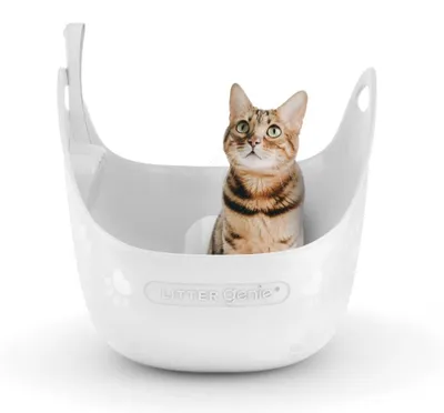 Productafbeelding van Litter Genie kattenbak, wit. Een elegante en praktische kattenbak