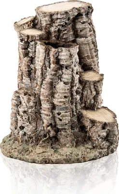 Produktbild von biOrb Weißbirke Ornament (48358)