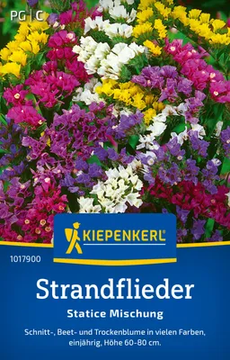 Artikelbild 2 von 'Strandflieder Statice Mischung' aus der Kategorie Blumensamen