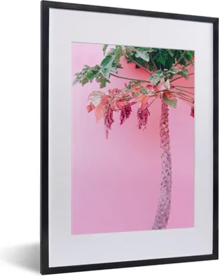 Produktbild von MuchoWow® Gerahmtes Poster Palme - Tropisch - Rosa - Sommer 30x40 cm - Poster mit Schwarzem Bilderrahmen Wandposter Rahmen Foto Bilder - Wandposter Schlafzimmer
