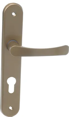 A close-up studio shot of a gold door handle with a long escutcheon plate, featuring a keyhole.