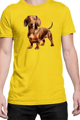 Immagine prodotto di Maglietta da uomo Dogs Breeds Dachshund Dog Breed 008, Man L , Jaune