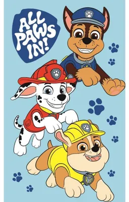 Produktbild von Paw Patrol Boys Handtuch 30x50 cm – Kinder Hand- & Gesichtstuch