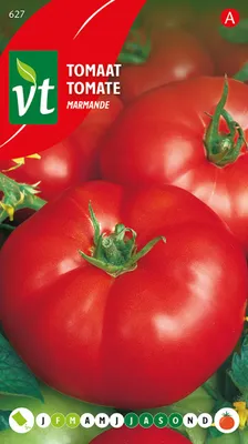 Image de Tomate Marmande Graines - Environ 0,5 gr | VT_627