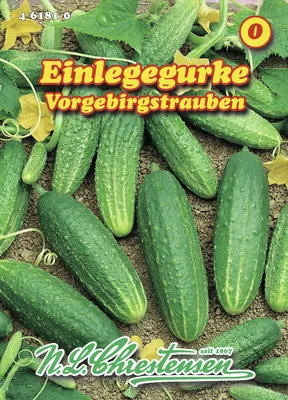 Artikelbild 1 von 'could not prepare statement [Connection is closed] [select d1_0.id,d1_0.changeTrackingIgnoredFields,d1_0.config,d1_0.created_at,d1_0.customer_id,d1_0.databasetype,d1_0.schema_id,d2_0.id,d2_0.created_at,d2_0.customer_id,d2_0.fielddefiniti