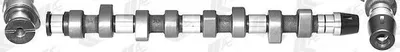 Produktbild von AE CAM668 Nockenwelle für VW GOLF III (1H1) Lupo (6X1, 6E1) POLO (6N2) Polo Schrägheck (6N1) für AUDI 80 Limousine (8C2, B4)