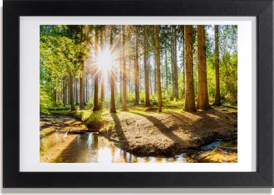 Produktbild von Bild 30x20 MDF-Rahmen, Wandkunst Panorama Wald