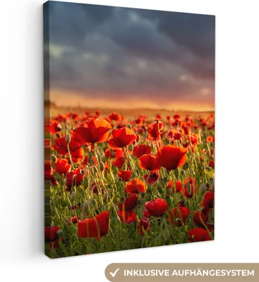 Produktbild von MuchoWow® - Leinwandbilder - Sonnenuntergang - Mohnblumen - Rot - Blumen - Feld - Natur, Wandbild, Wanddeko Bilder Wohnzimmer, 60x80 cm
