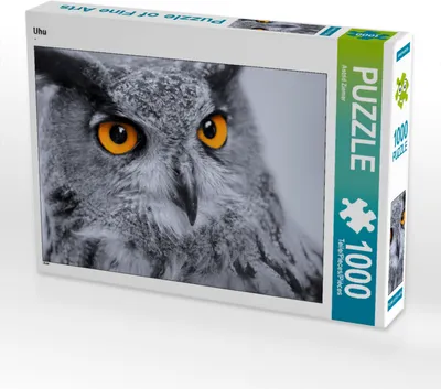 Produktbild von CALVENDO Puzzle Uhu | 1000 Teile Lege-Größe 64x48cm Foto-Puzzle für glückliche Stunden