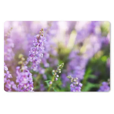 Produktbild von MuchoWow® Schreibtischunterlage Nahaufnahme von ganzem Lavendel in einem Feld 60x40 cm - XXL Mauspad - Großes Mauspad